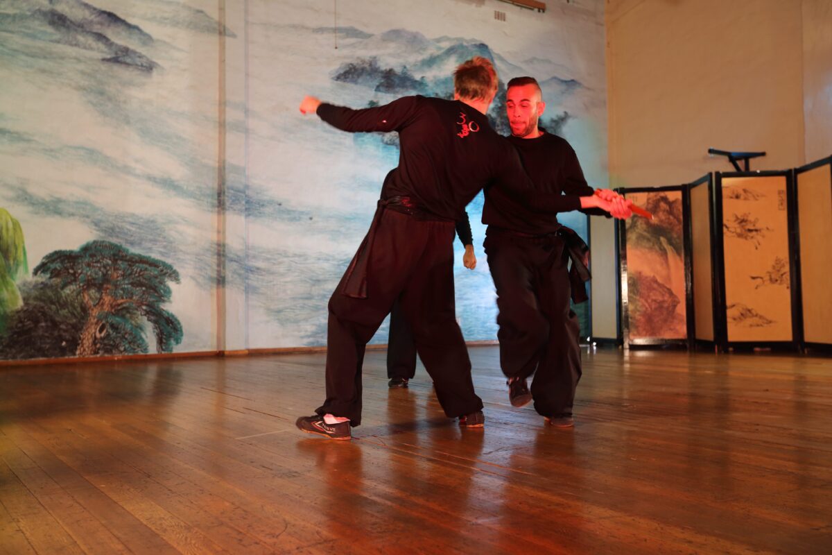chinese martial arts defence