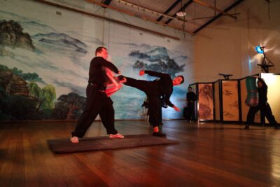 chinese martial arts kicking