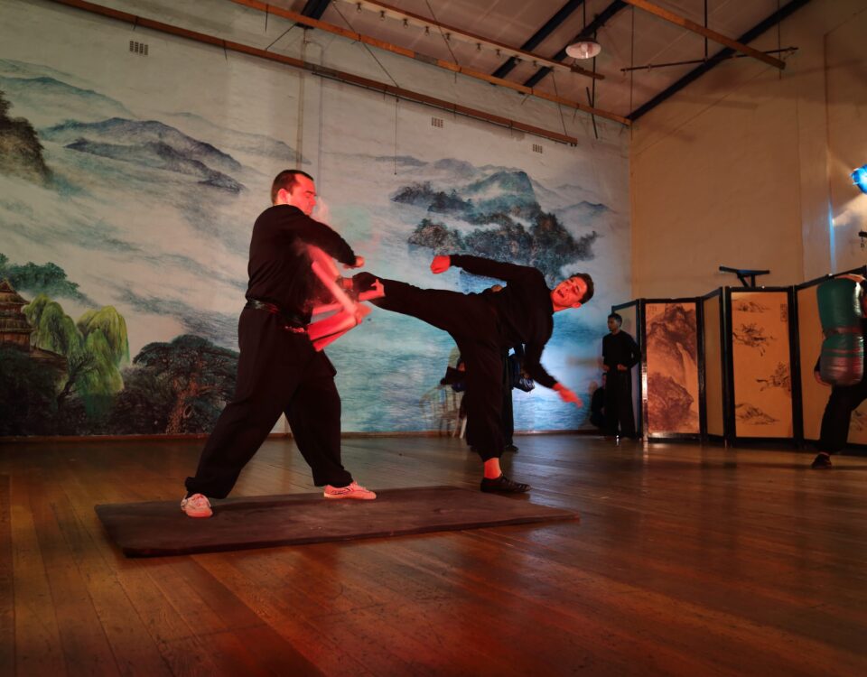 chinese martial arts kicking