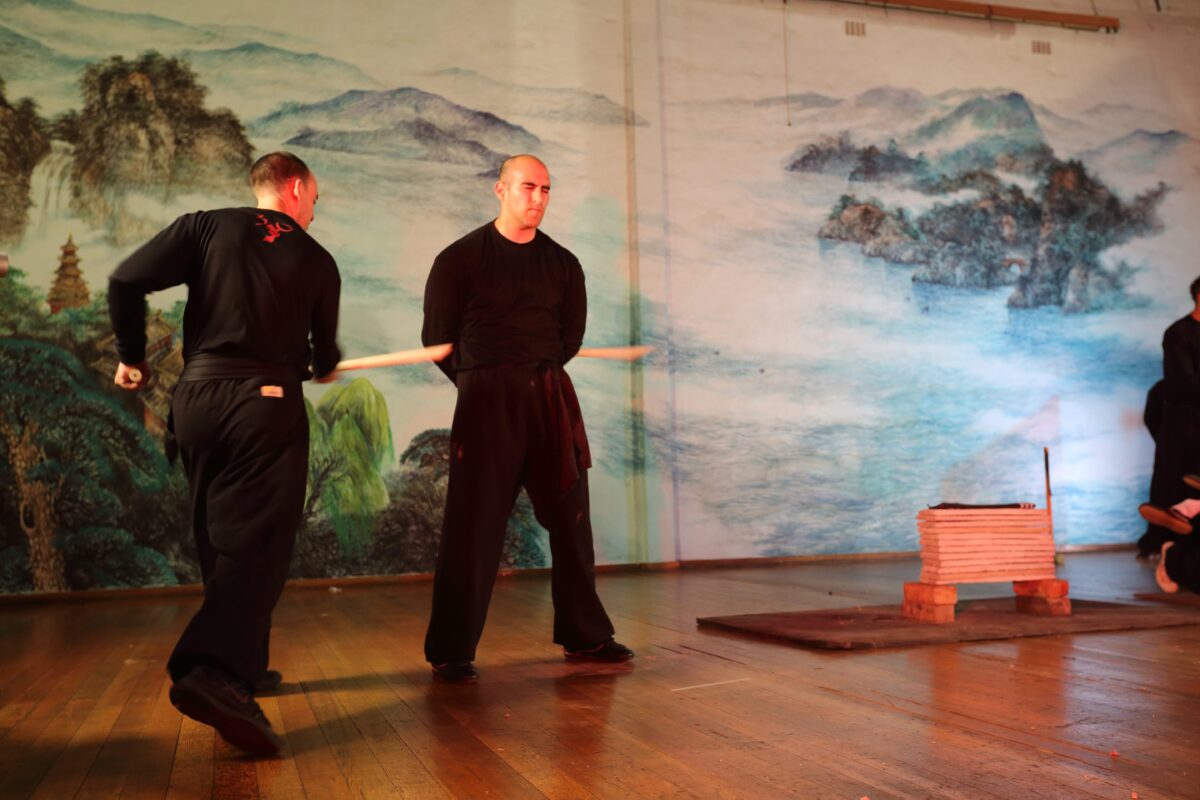 kung fu demonstration