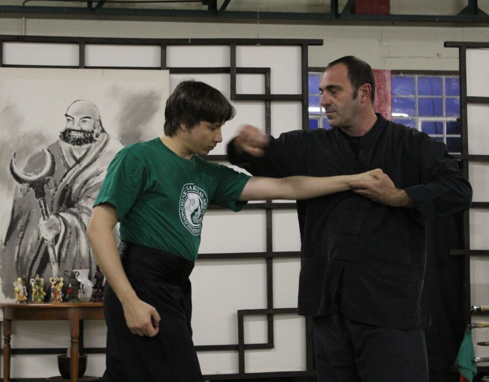 learn chinese martial arts