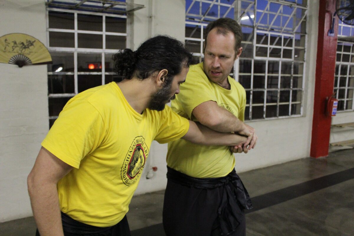 durban chinese martial arts seminar