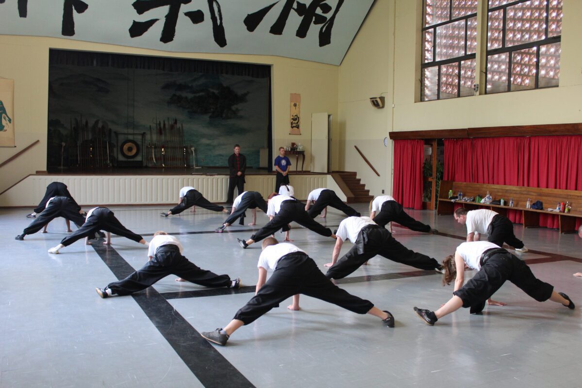 martial arts johannesburg