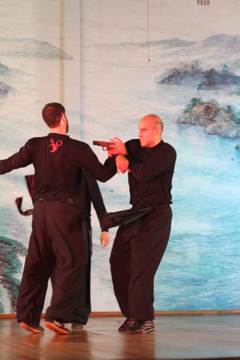 international martial arts academy