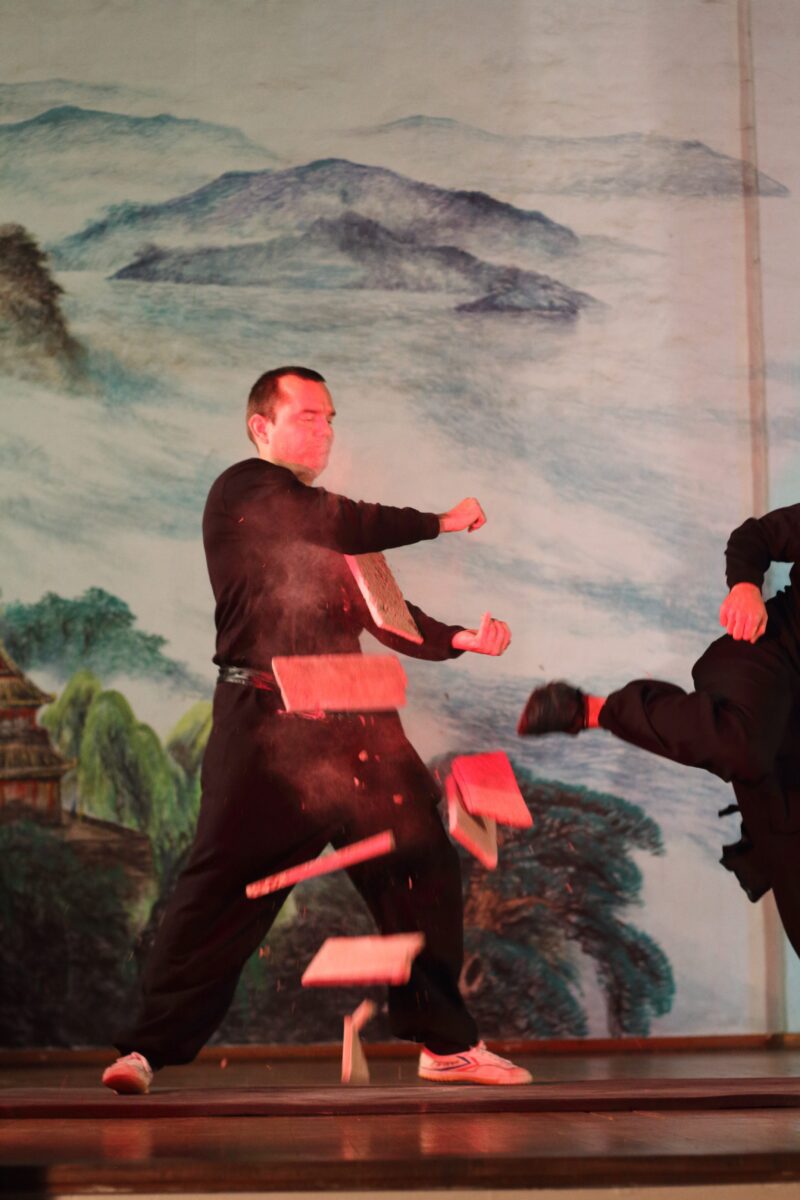 international martial arts schools
