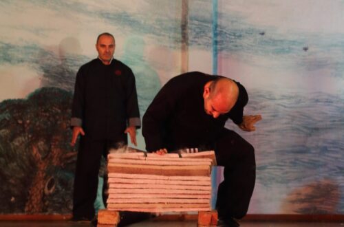 international martial arts centres