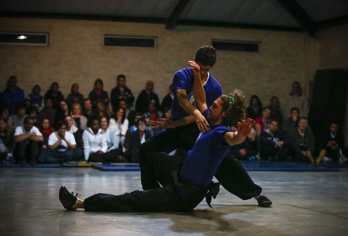 chinese martial arts observatory