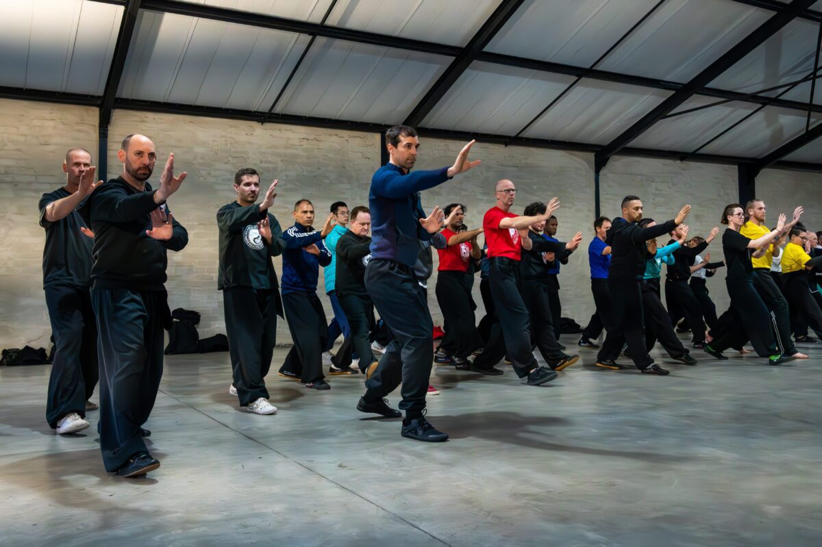 kungfu (10)